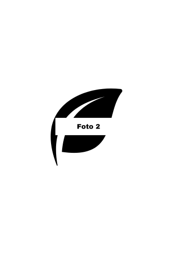 Foto da Doença 2